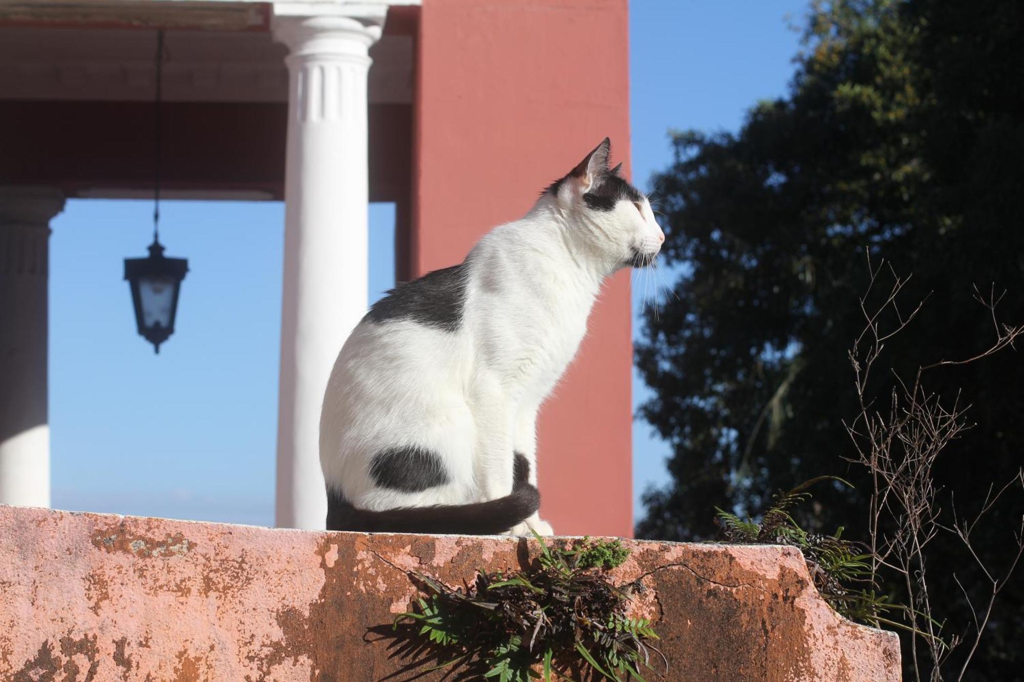 Casa Laranja Casa de hóspedes