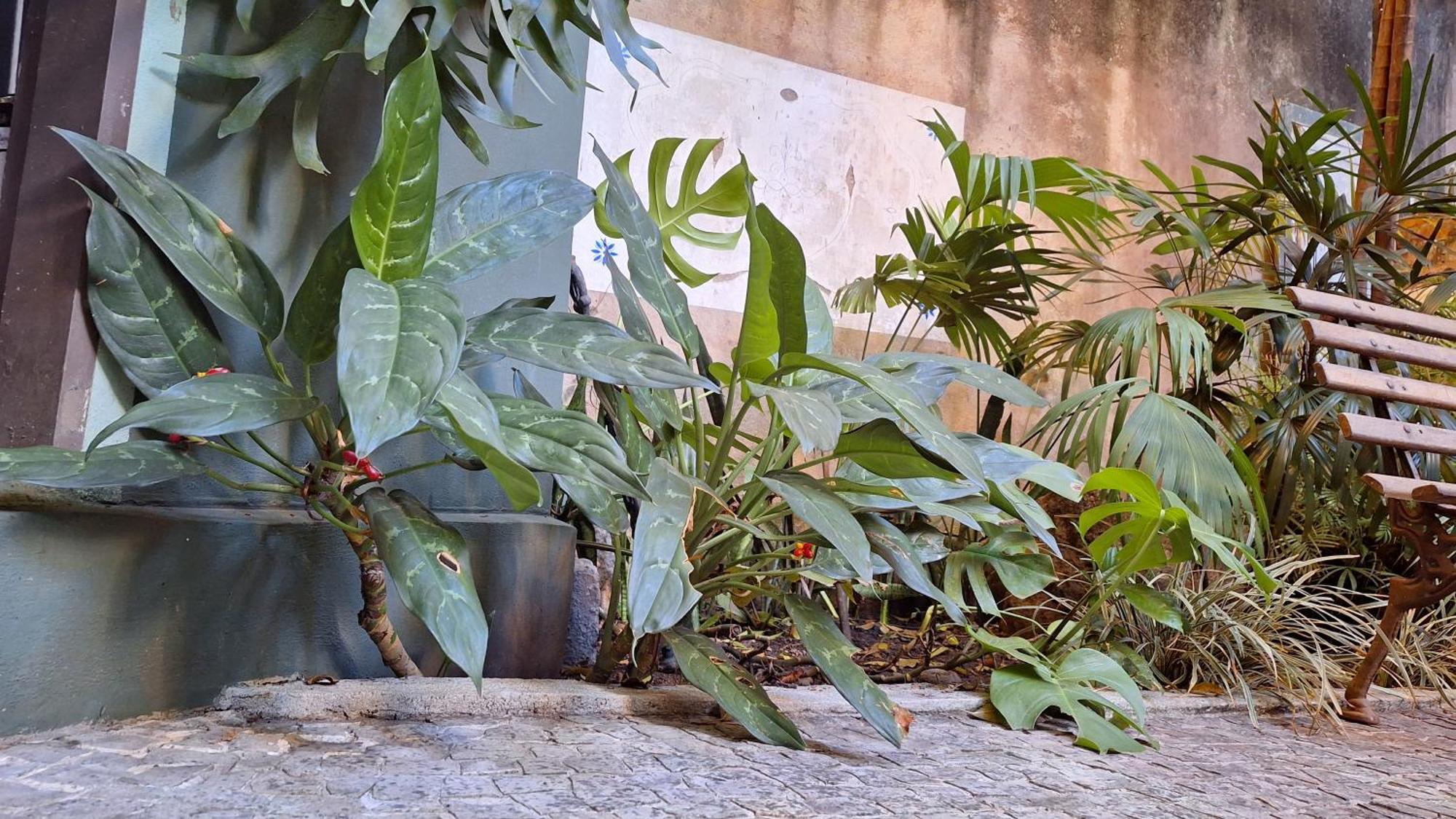 Casa de hóspedes Casa Laranja *